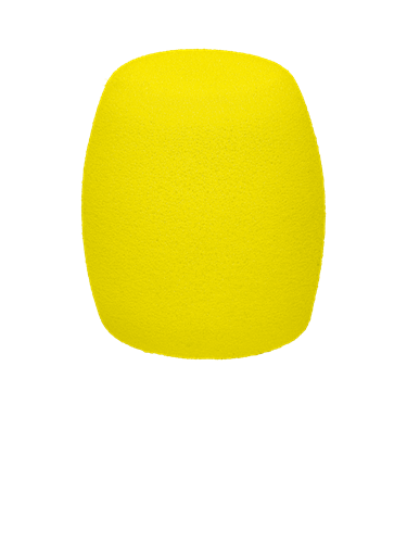 sE Electronics V7 Gold 25th Anniversary Edition