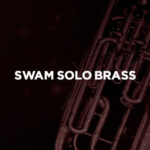 Audio Modeling SWAM Solo Brass bundle