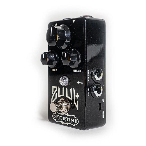 Fortin Amplifaction ZUUL +