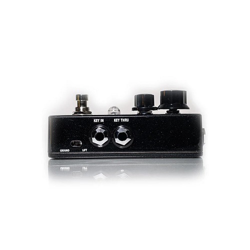 Fortin Amplifaction ZUUL +