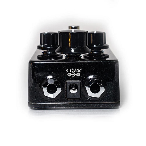 Fortin Amplifaction ZUUL +