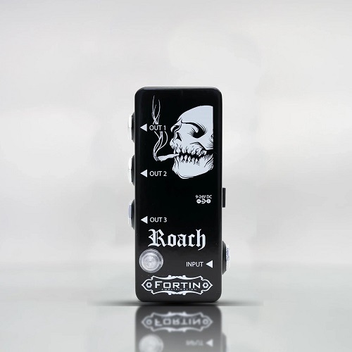 Fortin Amplifaction ROACH