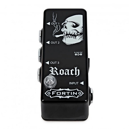 Fortin Amplifaction ROACH