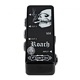 Fortin Amplifaction ROACH