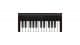 IK Multimedia iRig Keys 2 Mini������ʡ�