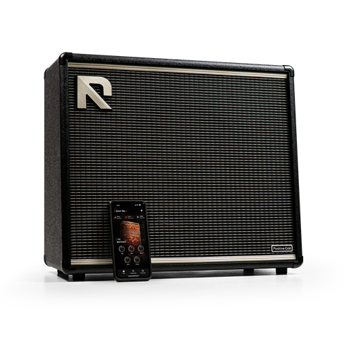 Positive Grid REACTOR 100�ڼ�������ʬ��ͽ��������