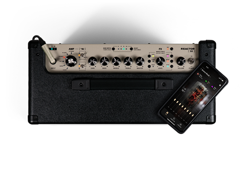 Positive Grid REACTOR 100�ڼ�������ʬ��ͽ��������