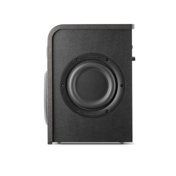 FOCAL PROFESSIONAL SHAPE 50 ڥ