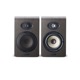 FOCAL PROFESSIONAL SHAPE 50 ڥ