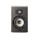 FOCAL PROFESSIONAL SHAPE 50 ڥ