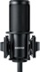 Shure SM4�ۡ���쥳���ǥ����ѥޥ������ۥ󥭥å�