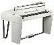 Dexibell VIVO H10 MG WHP