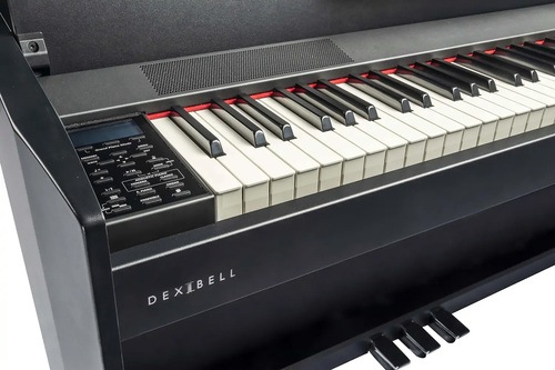 Dexibell VIVO H5 �ʥ֥�å� / �ۥ磻�Ȥ�ꤪ���Ӥ��������ޤ���