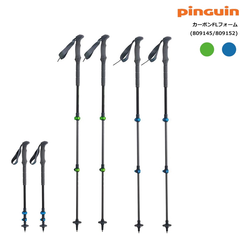 PinGuin(ピングイン) カーボンFLフォーム | すべての商品 | 【公式