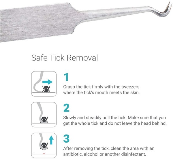 LiFESYSTEMS(�饤�ե����ƥ�) �ƥ��å��ĥ��������� L6580�ڥ᡼����ȯ����ǽ��