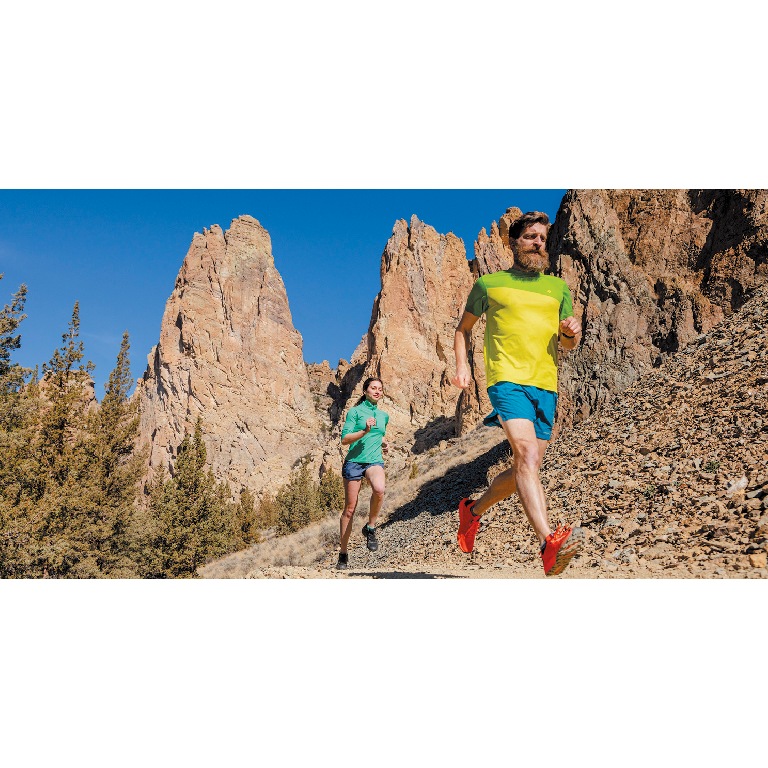 FITS(եå) ѥեޥ󥹥ȥ쥤륯 F1006/F1206 ڥ᡼ȯǽ