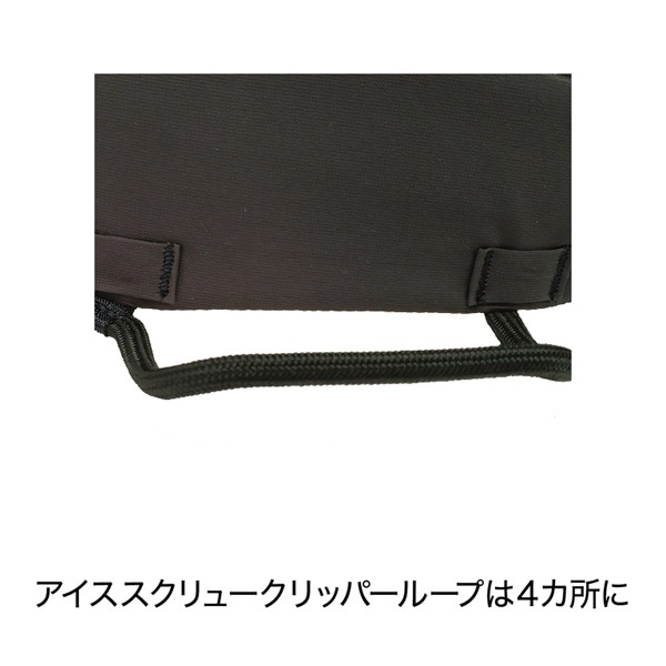 BLUE ICE(�֥롼������) �������� �����㥹�� 100311