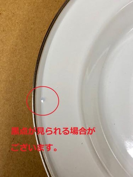 Petromax(�ڥȥ��ޥå���) ���ʥ��ץ졼��(2����)