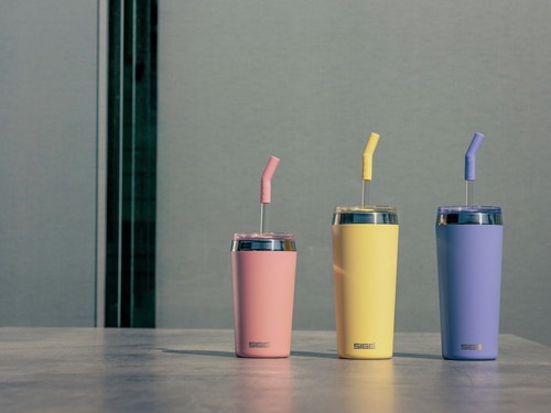 25%OFFSIGG() إꥢ0.45L 5040550410