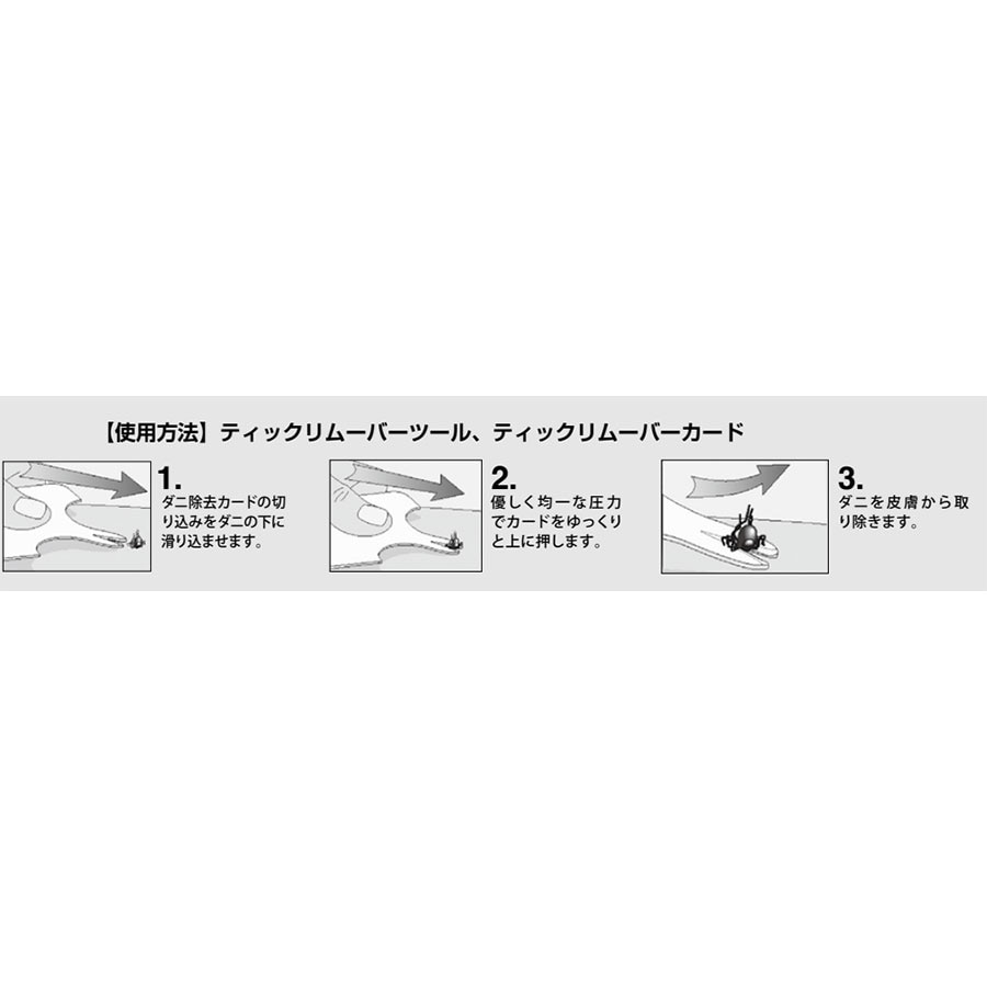 LIFESYSTEMS(饤եƥॺ) ƥåࡼСġ L34021ڥ᡼ȯǽ