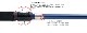 40%OFFsnowline(Ρ饤) Stealth Moving Stick (2)