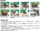 15%OFFSOTO() 쥮졼ȡ ϴХץ졼 ST-3102