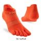 ��10%OFF��injinji(���󥸥�) ��� �饤�ȥ������ȥΡ����祦 281110�ڥ᡼����ȯ����ǽ��