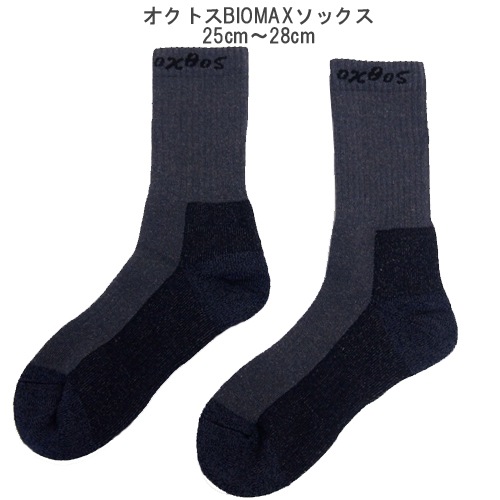 �����ȥ���BIOMAX���å�����2­���åȡ�