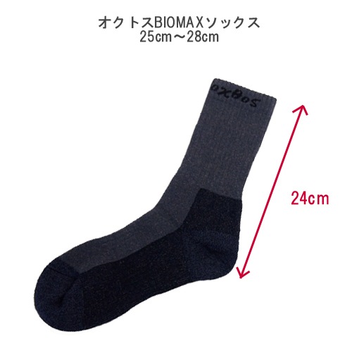 �����ȥ���BIOMAX���å�����2­���åȡ�