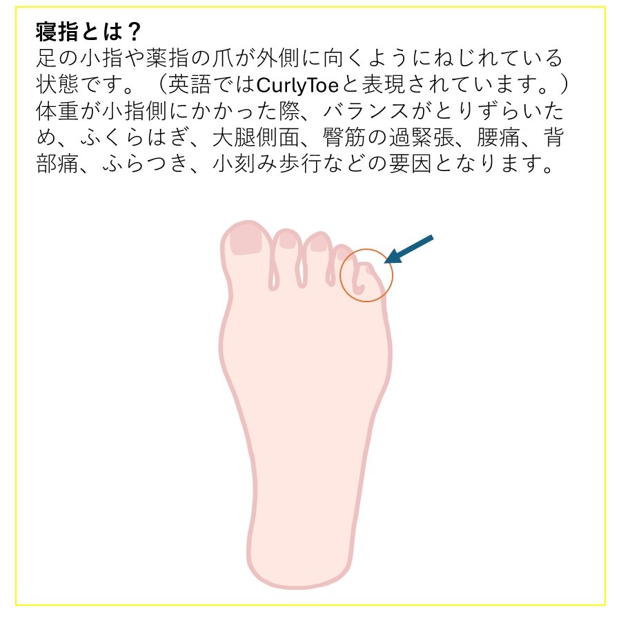 New-HALE  XERO-SHOES ѥ륭奢إơסڥ᡼ȯǽ