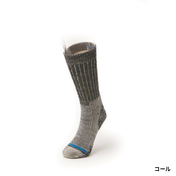 ��10%OFF��FITS(�ե��å�) �إӡ��������ڥǥ������֡��� F1008
