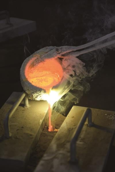 BIG FOREST(�ӥå��ե��쥹��) ���褱�롡���˶��� 2301