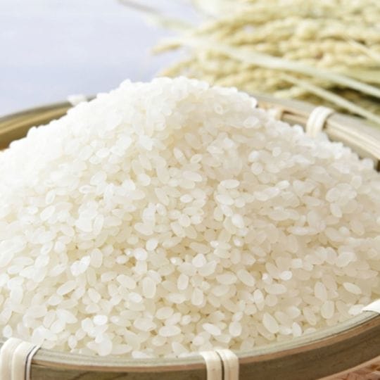 【数量限定】《京都》＊令和7年産＊ 京都・亀岡産ほんめ米コシヒカリ（送料無料）