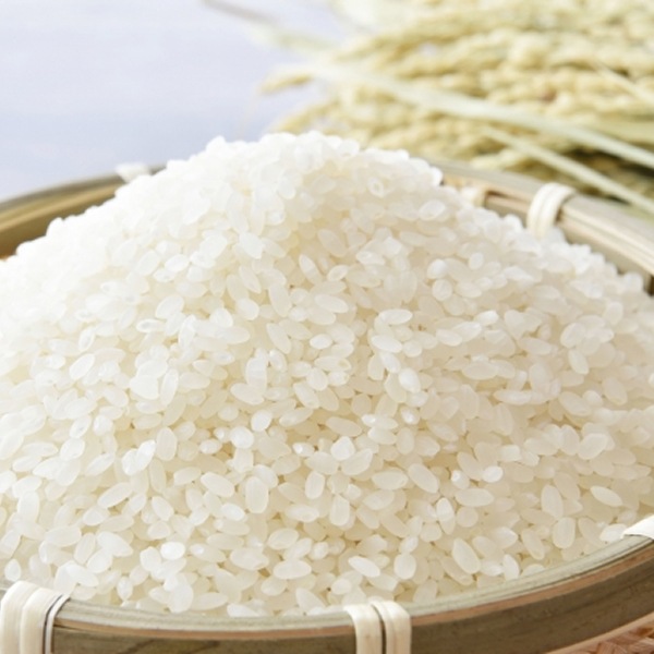 大好評につき、期間延長！！【お宿ねっと倶楽部メンバーズ会員限定】《京都》＊新米＊先行予約 京都・亀岡産ほんめ米コシヒカリ