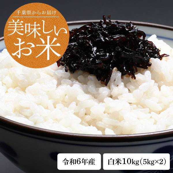 ̵  6ǯٻ  ո γ  10kg ϰؤΤϤȯ