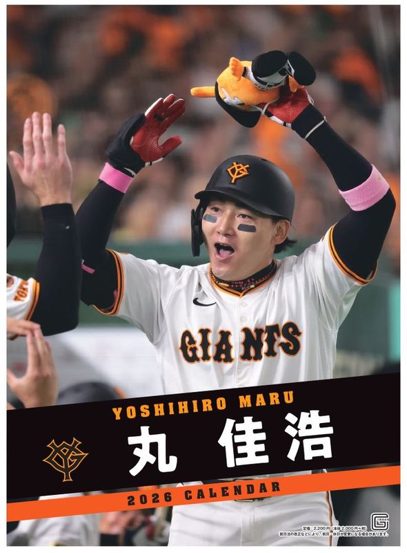 �ݲ¹��������� 2026