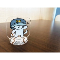 ǭԥå㡼륹Vol.1˹