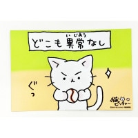 ǭԥå㡼ҤȥޥƥåVol.1ɤ۾ʤ