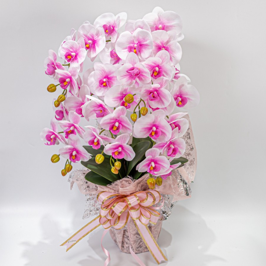 胡蝶蘭 5本 ピンク 造花 1個 花瓶付き 立札 メッセージカード お祝い