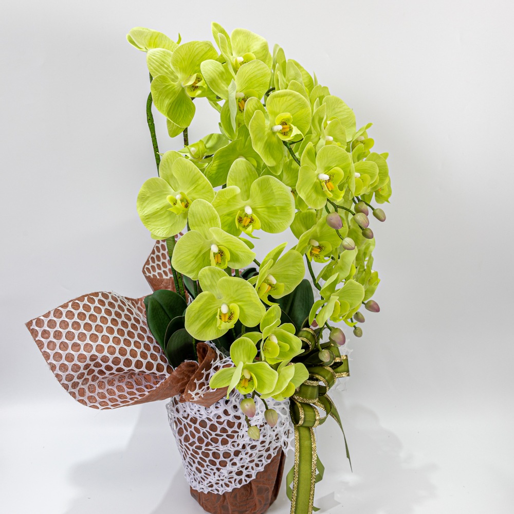 ��ĳ�� 5�� �� ¤�� 1�� �����դ� Ω�� ��å����������� ���ˤ� ���� ��ǰ�� ������ ���� ����ƥꥢ ��H1_010