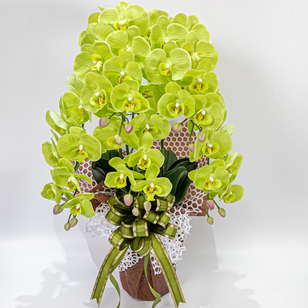 ��ĳ�� 5�� �� ¤�� 1�� �����դ� Ω�� ��å����������� ���ˤ� ���� ��ǰ�� ������ ���� ����ƥꥢ ��H1_010