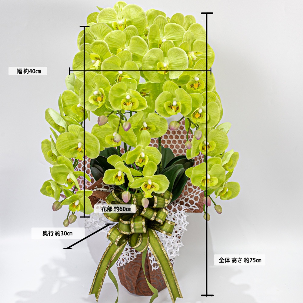 ��ĳ�� 5�� �� ¤�� 1�� �����դ� Ω�� ��å����������� ���ˤ� ���� ��ǰ�� ������ ���� ����ƥꥢ ��H1_010