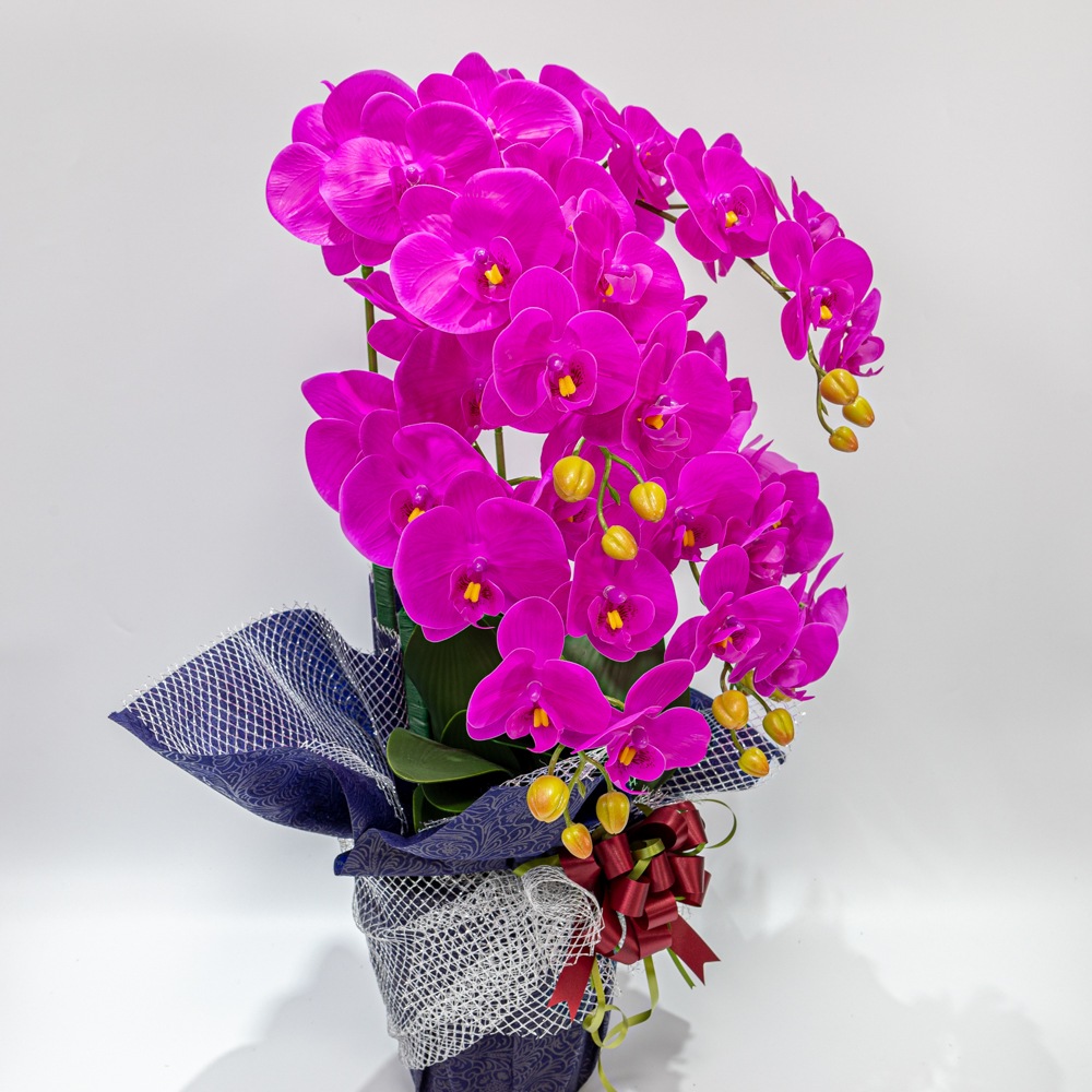 ��ĳ����5�ܡ��ֻ硡¤�֡�1�ġ������դ���Ω������å����������ɡ����ˤ������ȡ���ǰ���������������֡�����ƥꥢ��H1_011