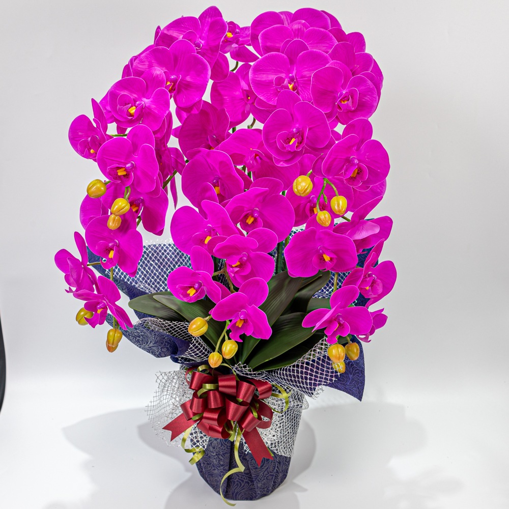 ��ĳ����5�ܡ��ֻ硡¤�֡�1�ġ������դ���Ω������å����������ɡ����ˤ������ȡ���ǰ���������������֡�����ƥꥢ��H1_011