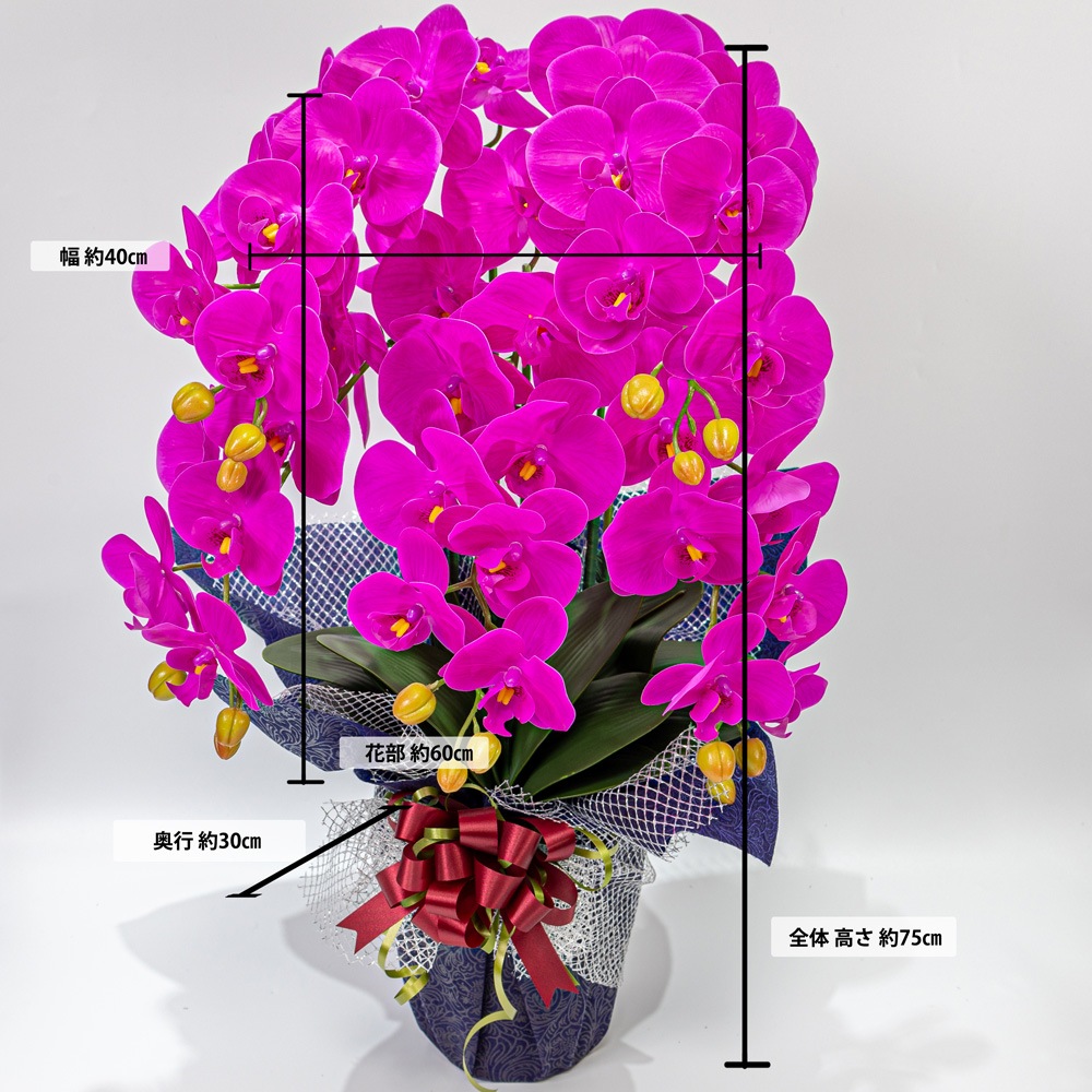 ��ĳ����5�ܡ��ֻ硡¤�֡�1�ġ������դ���Ω������å����������ɡ����ˤ������ȡ���ǰ���������������֡�����ƥꥢ��H1_011