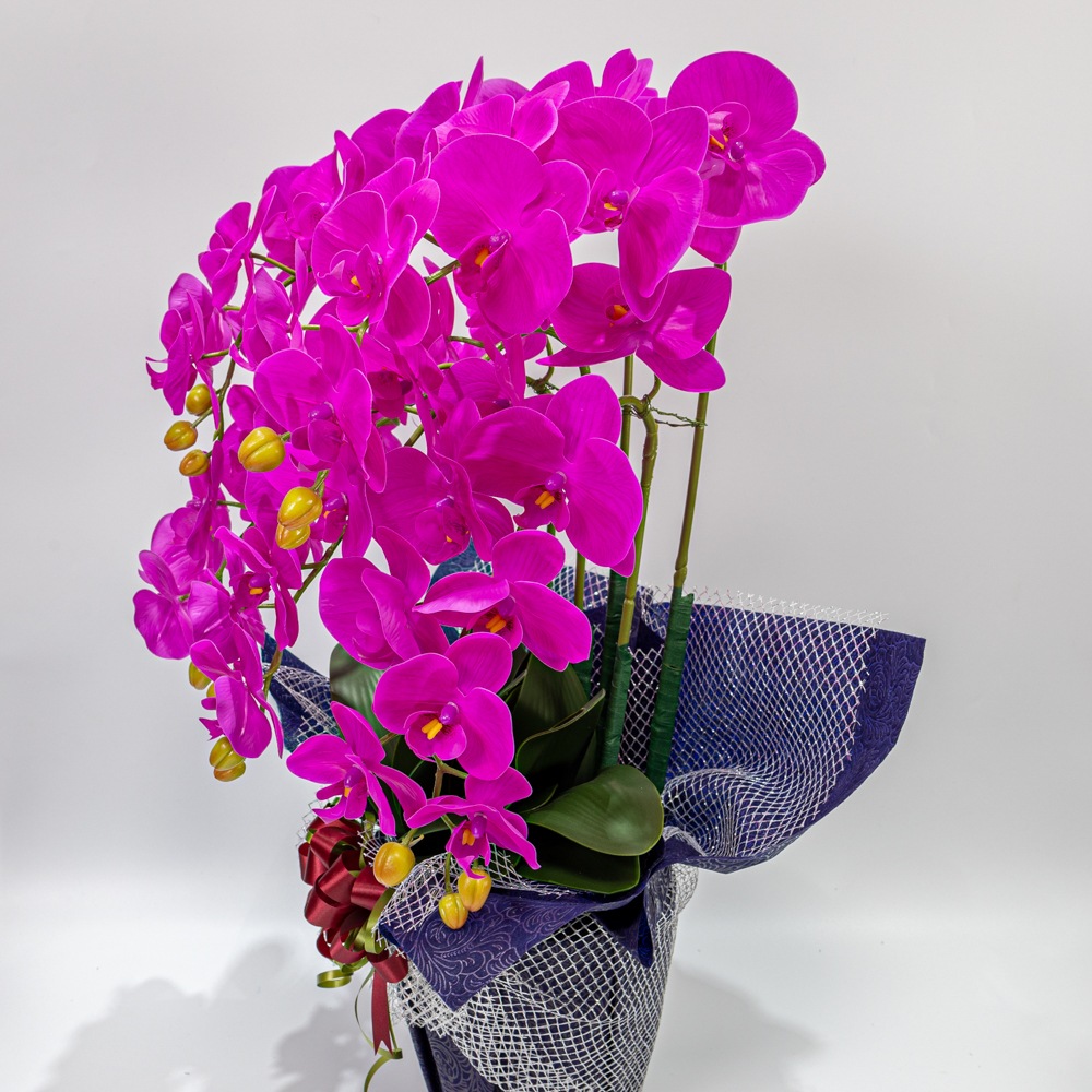 ��ĳ����5�ܡ��ֻ硡¤�֡�1�ġ������դ���Ω������å����������ɡ����ˤ������ȡ���ǰ���������������֡�����ƥꥢ��H1_011