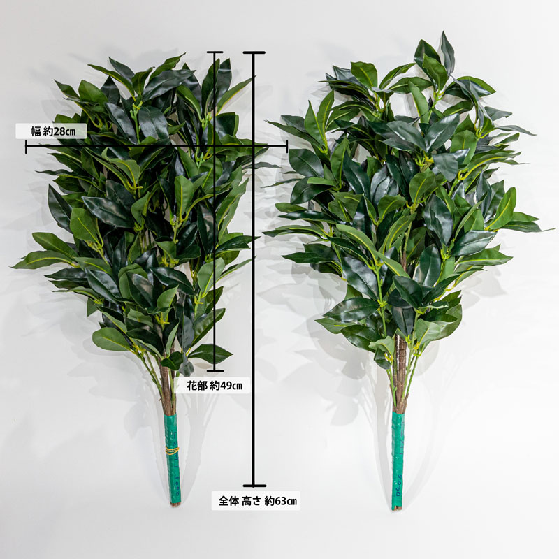 ��¤�֡ۥ����ƥ�����ʤ����ߡˡ�L������4�ܡ�M��������2�ܡ�3�ܡ�2«�� ���� ��� ���� ʩ�� ʩ���ѡ�(S1_02)