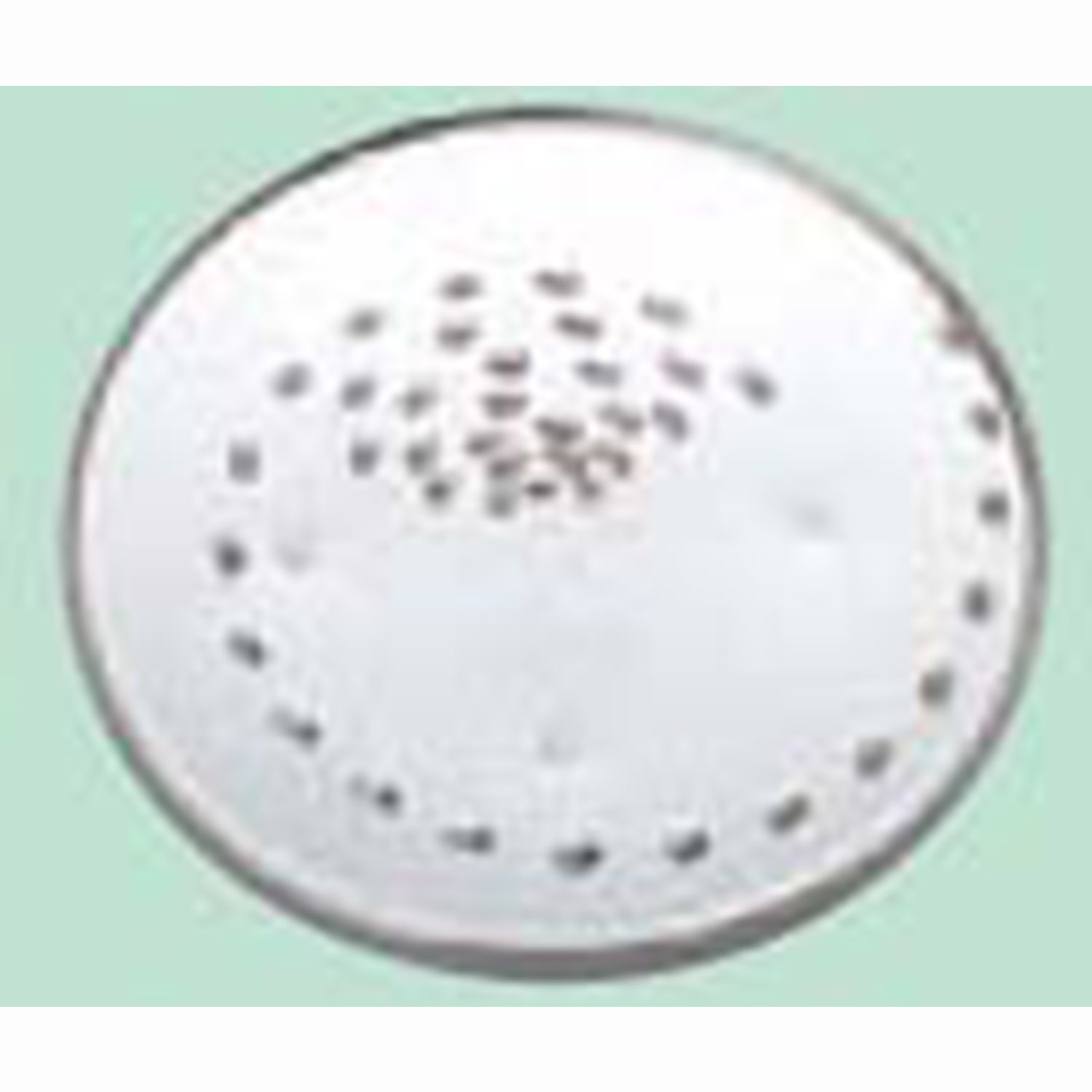 クイジナート中型用 ファインシュレッダー DLC-034TXJ　直送