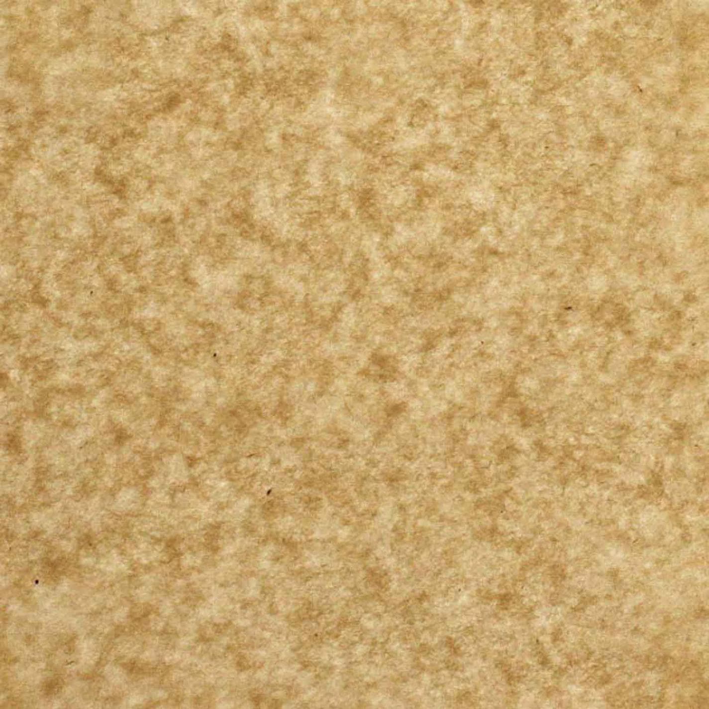 ワックスペーパー(50枚入)290×370 クラフト無地 WP5000　直送