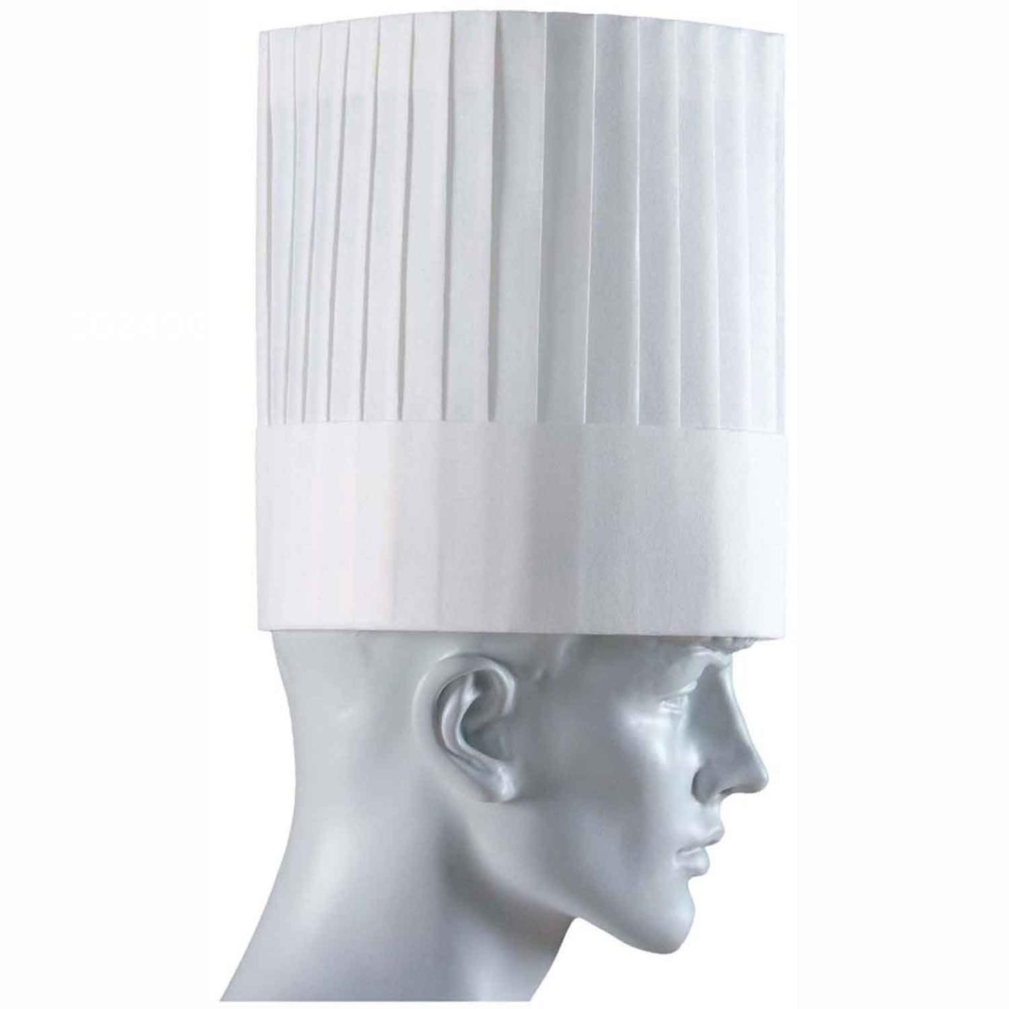 パリスハット(10枚入)PH-201NT 薄型 20cm　直送